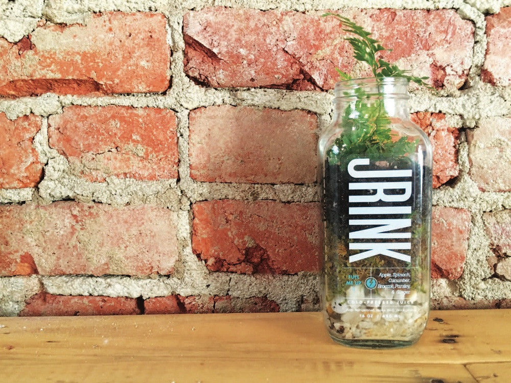 Interview with Holley Simmons, DIY Terrarium Extraordinaire